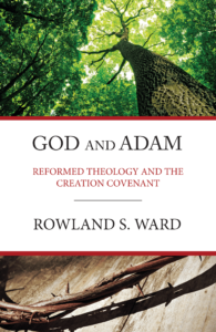 Book Cover: God and Adam