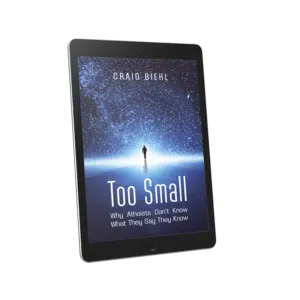 Too Small (eBook: ePUB)